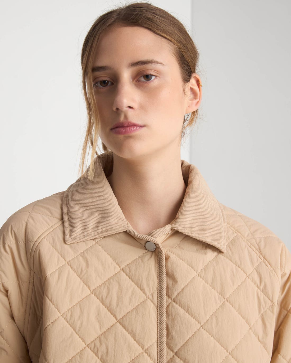 Puffer Victoria